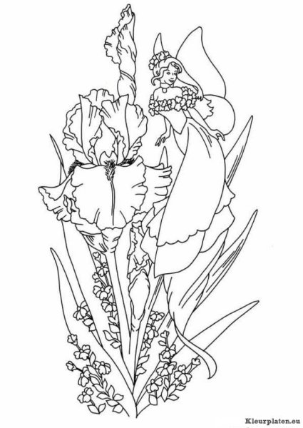 Раскраска ирисы для детей