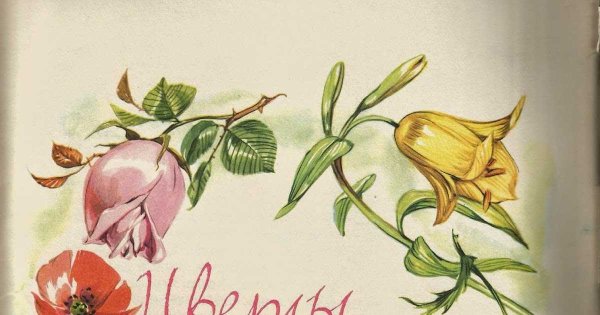 Цветы маленькой Иды Андерсен