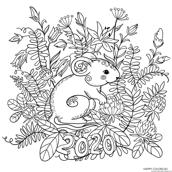 Лесная мышь раскраска