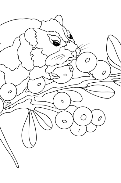 Голубика раскраска