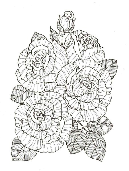 Раскрашивать антистресс розы