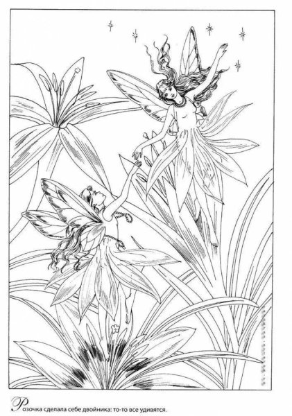 Раскраски эльфы и феи