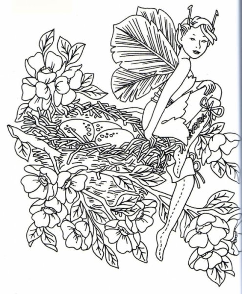 Раскраска Эльф