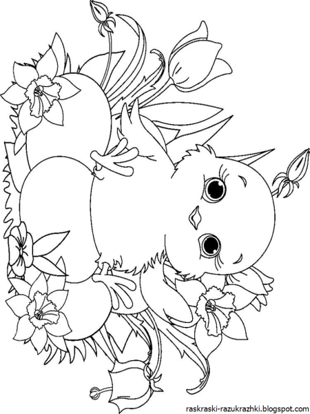 Раскраски цыплятки