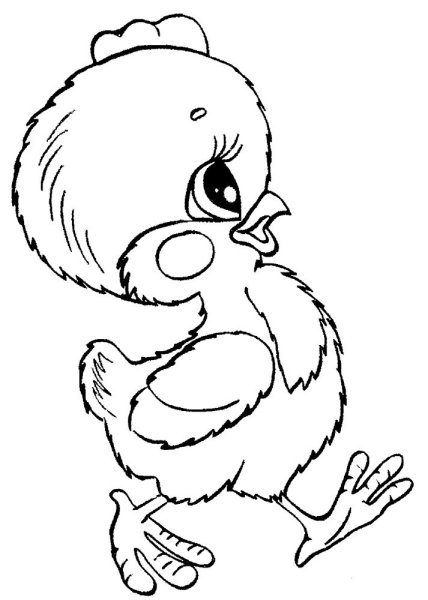 Цыпленок раскраска для детей