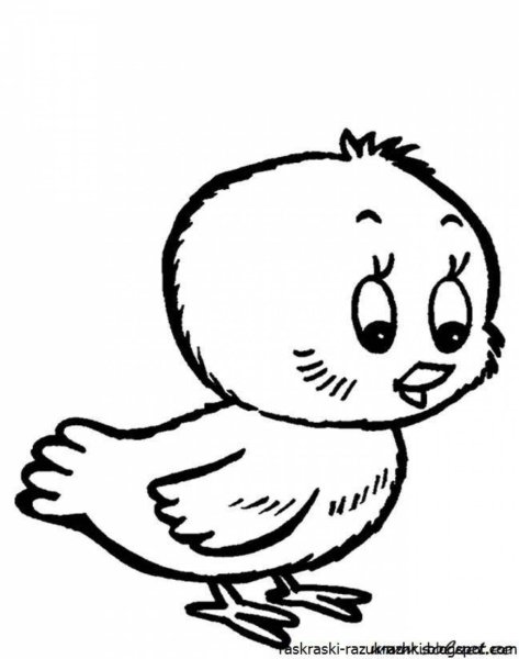 Цыпленок раскраска для детей