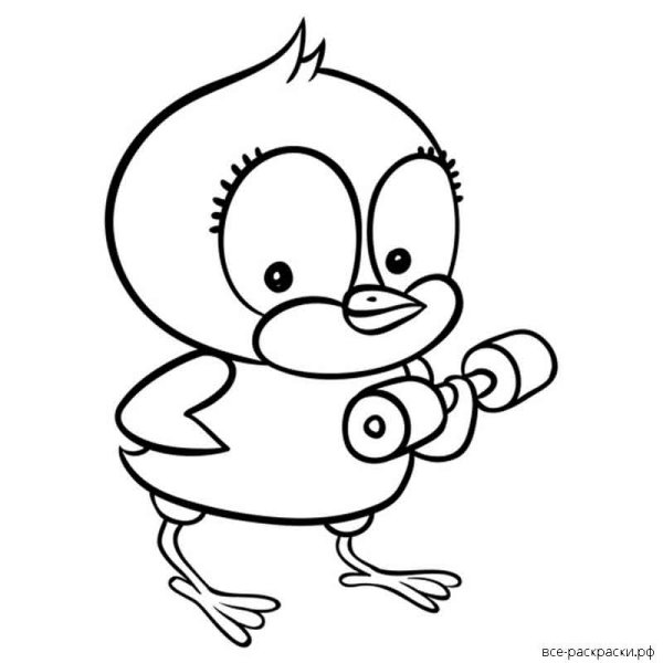 Цыпленок. Раскраски