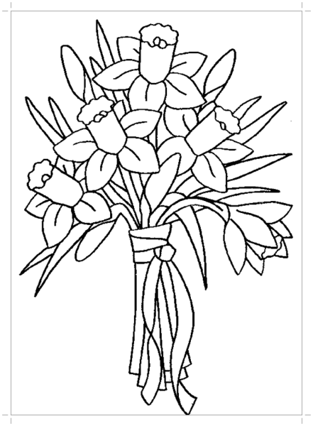 Нарцисс раскраска для детей