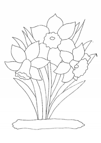 Трафареты букетов цветов для рисования