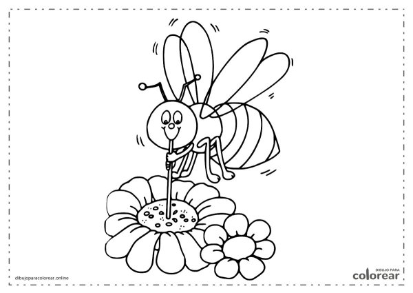 Раскраска насекомые пчела