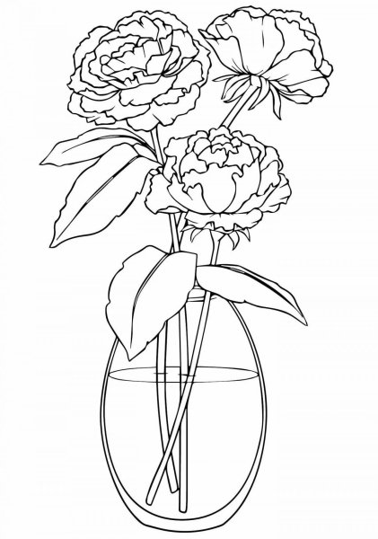 Раскраска цветы пионы