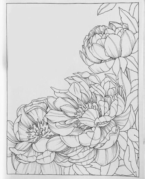 Антистресс пионы