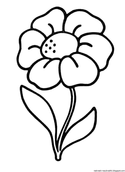 Цветы. Раскраска