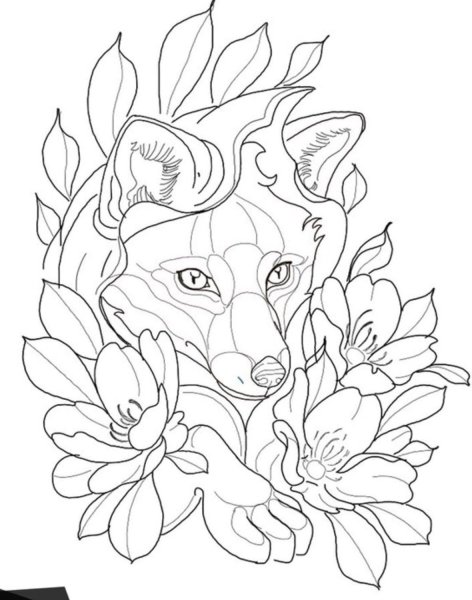 Раскраска антистресс лиса