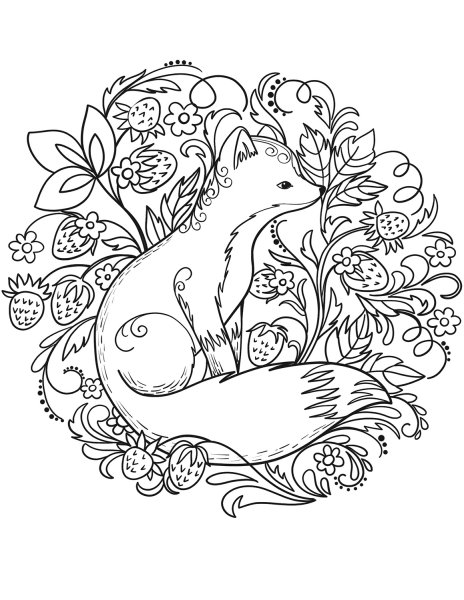 Раскраска антистресс для детей лиса