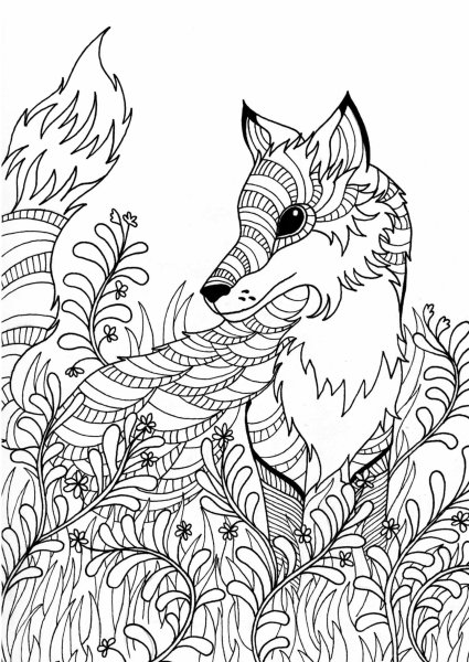 Лиса антистресс