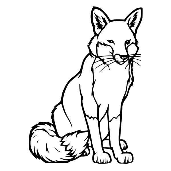 Раскраска лисы