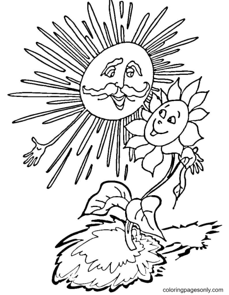 День солнца раскраска для детей