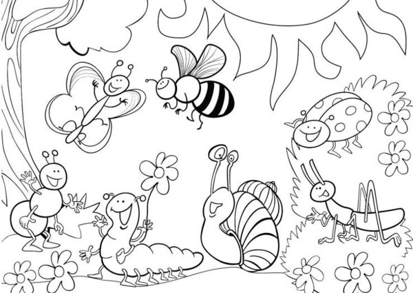 Насекомые раскраска для детей