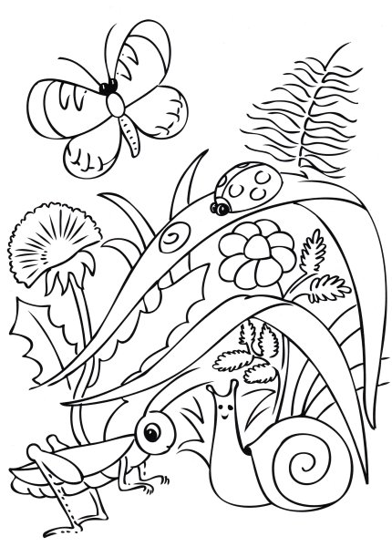 Насекомые раскраска для детей