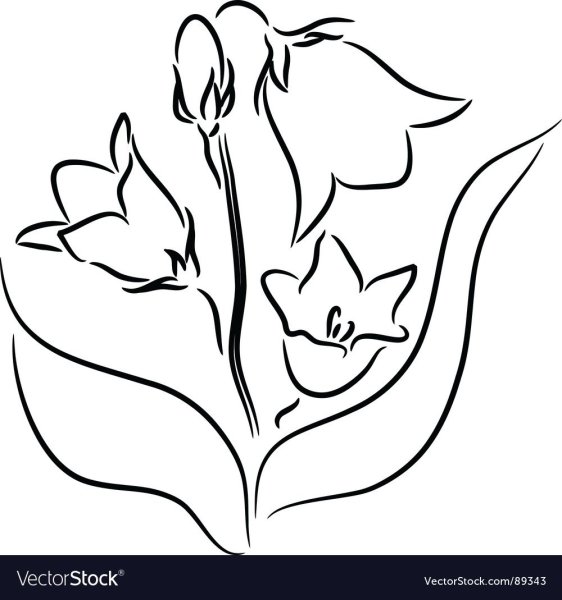 Трафарет цветов колокольчик