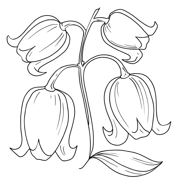 Раскраска для детей 2 лет колокольчик цветок