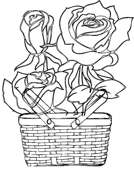 Раскраска розы в корзине