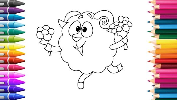 Бараш каким цветом раскрасить