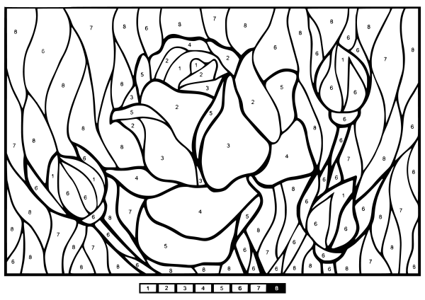 Раскраска по номерам розы