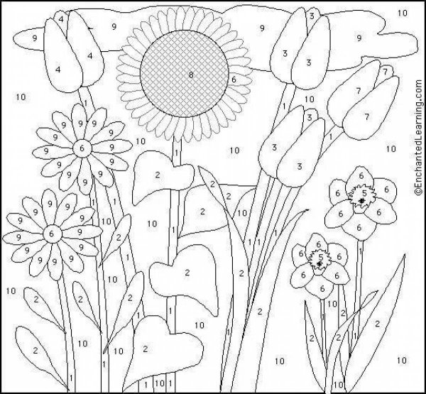 Раскраска по номерам цветы