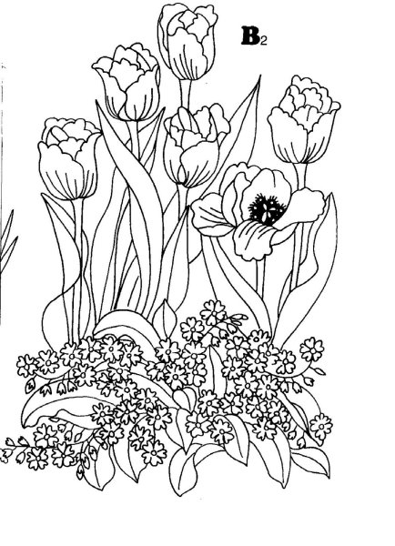 Трафареты для витража цветы