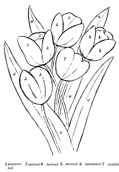Раскраска тюльпаны для детей 5-6 лет