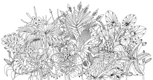 Раскраска антистресс природа