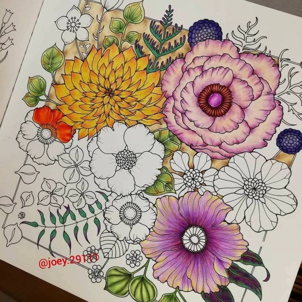 Джоанна Бэсфорд цветы