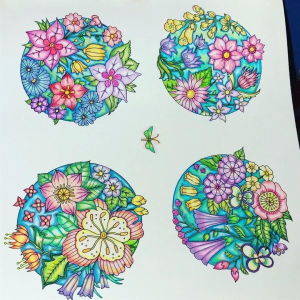 Джоанна Басфорд мир цветов Раскрашенные