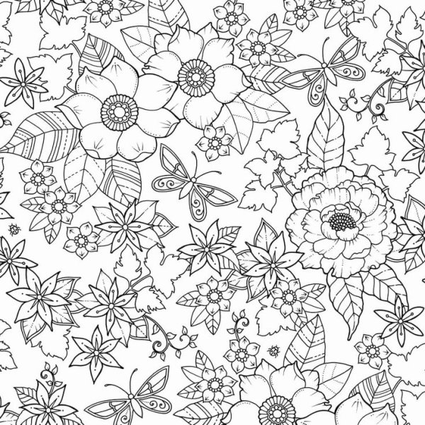 Бэсфорд Джоанна "мир цветов"