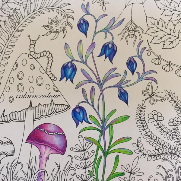 Джоанна Басфорд мир цветов Раскрашенные