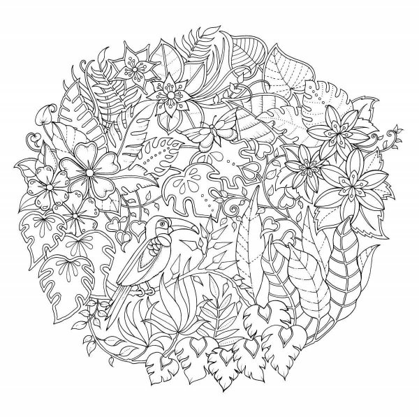 Удивительные джунгли Бэсфорд Джоанна