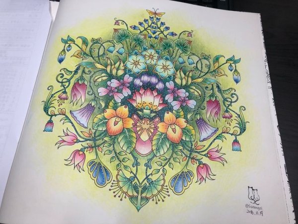 Бэсфорд Джоанна "мир цветов"