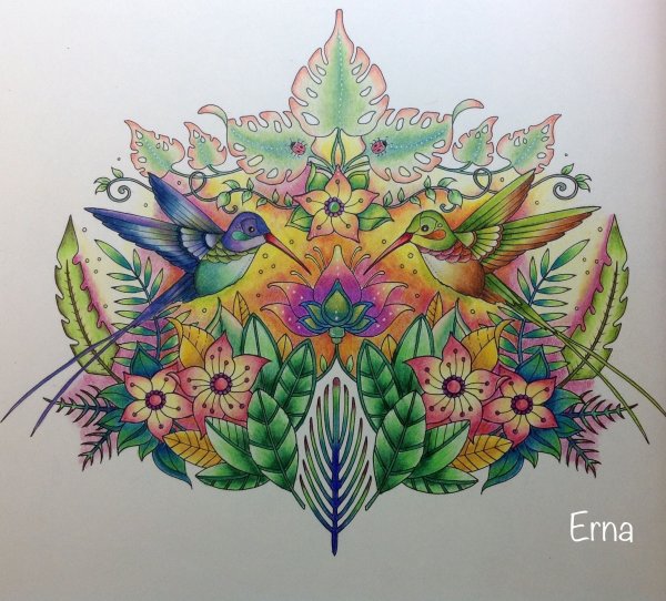 Johanna Basford Magical Jungle