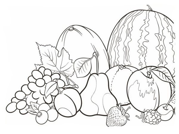 Осенние фрукты раскраска