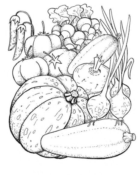 Овощная раскраска