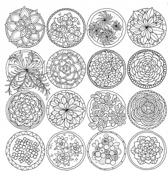 Мир цветов Джоанна Басфорд