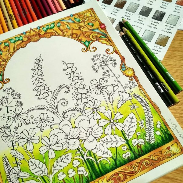 Бэсфорд Джоанна "мир цветов"