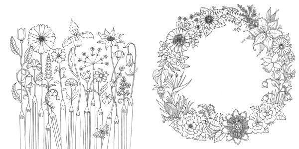 Бэсфорд Джоанна "мир цветов"