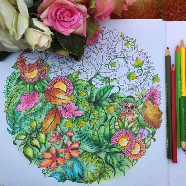 Таинственный сад акварельными красками Джоанна Бэсфорд