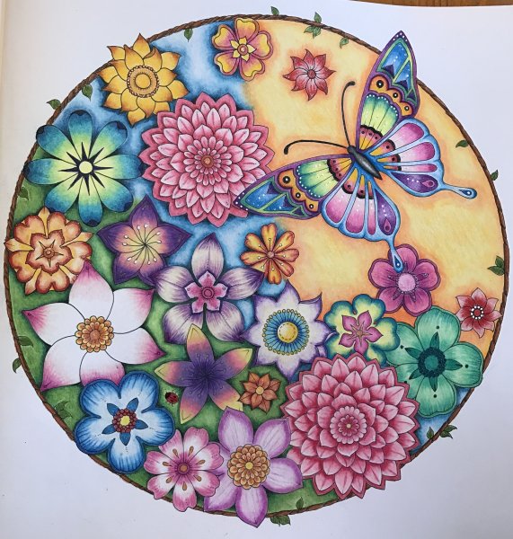 Мир цветов Джоанна Басфорд