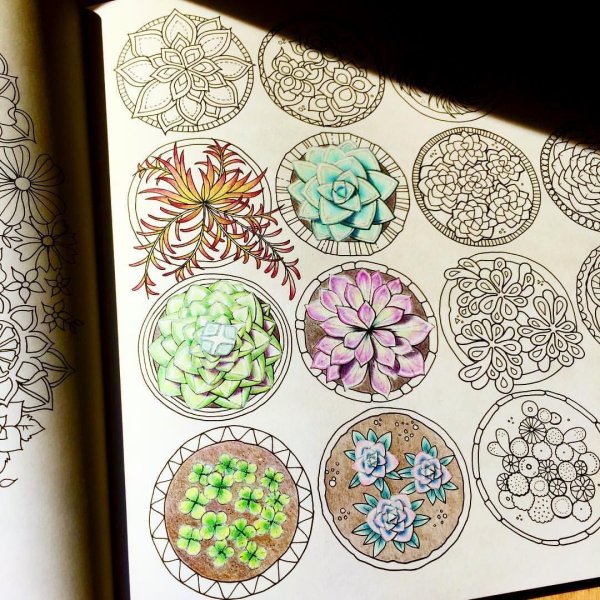 Мир цветов Джоанна Басфорд