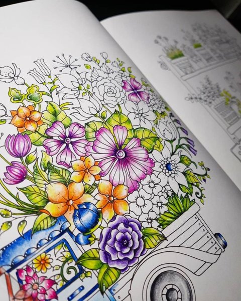 Бэсфорд Джоанна "мир цветов"