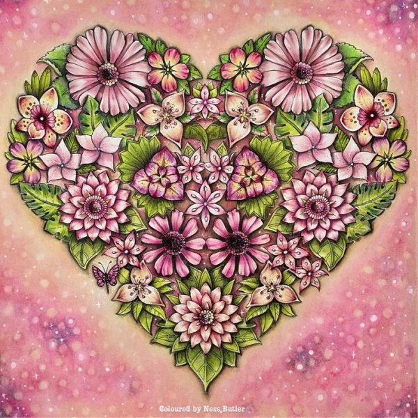 Джоанна Басфорд джунгли